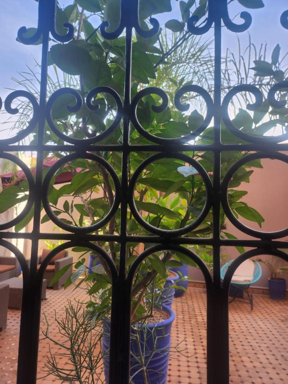 Appartement Centre Gueliz Hanane مراكش المظهر الخارجي الصورة